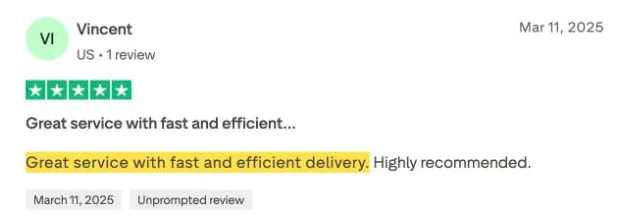 Vincent's Trustpilot review